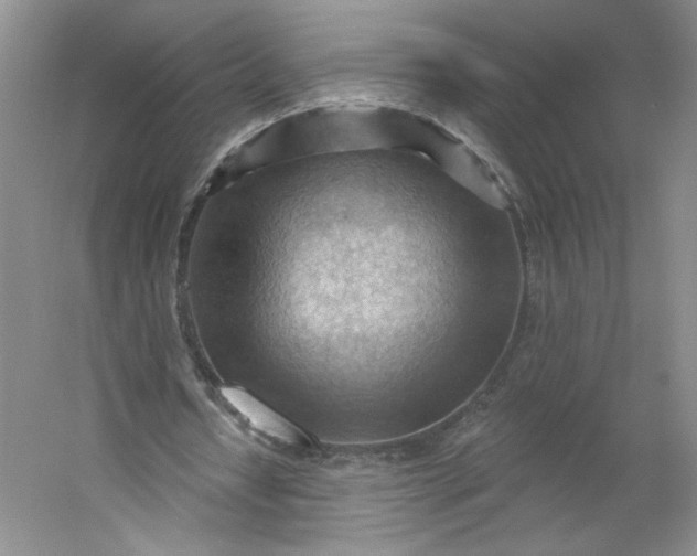 X0000053080434200507251530