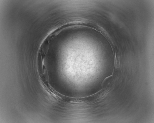 X0000053080435200507251530