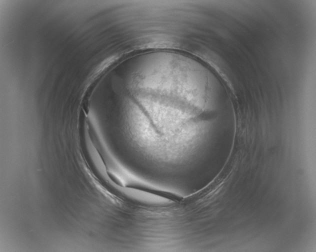 X0000053080437200507251530
