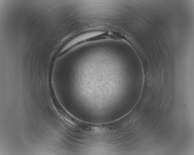 X0000053080442200507251530
