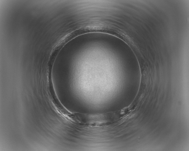 X0000053080446200507251530