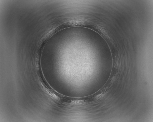 X0000053080450200507251530