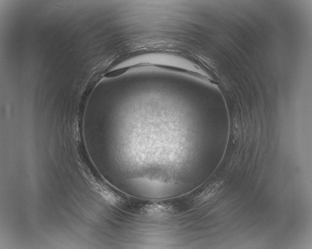 X0000053080453200507251530