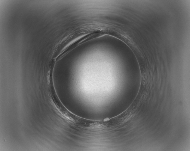 X0000053080454200507251530