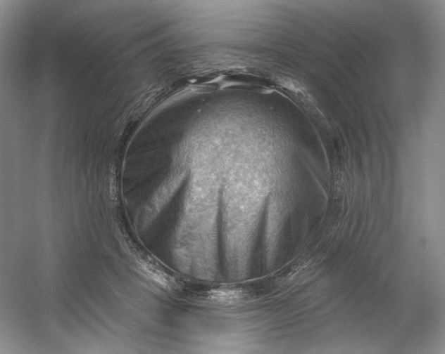 X0000053080457200507251530