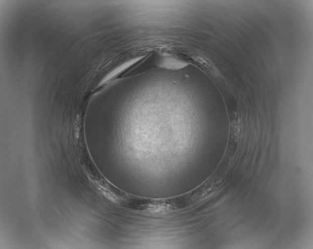 X0000053080458200507251530