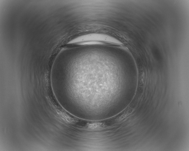 X0000053080461200507251530