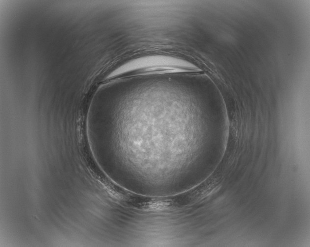 X0000053080462200507251530