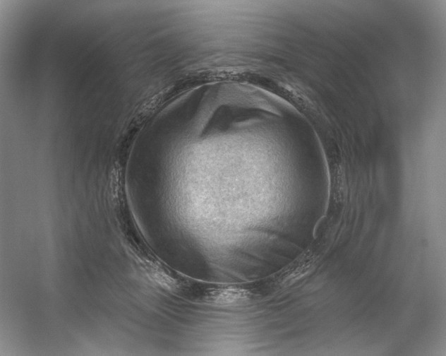 X0000053080463200507251530