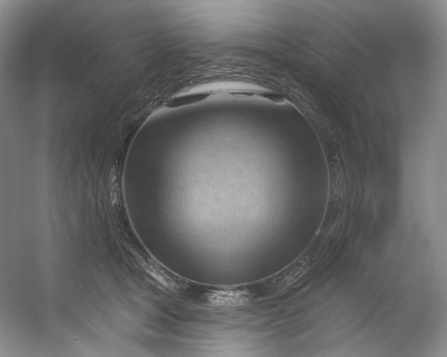 X0000053080465200507251530
