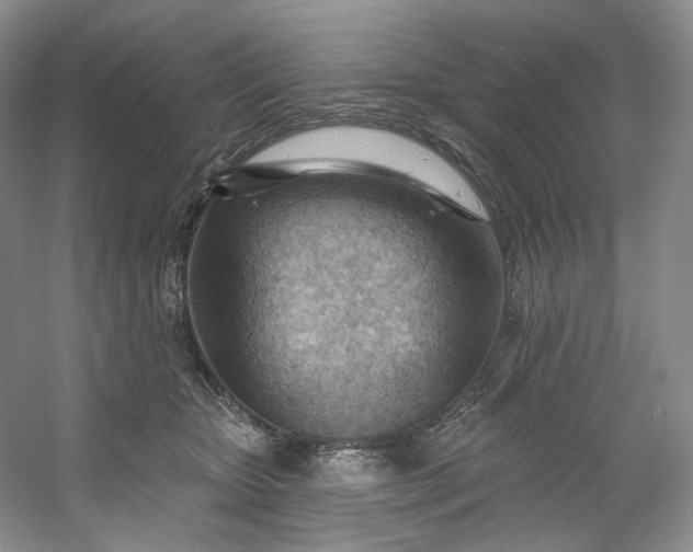 X0000053080467200507251530