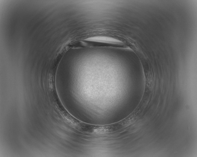 X0000053080470200507251530