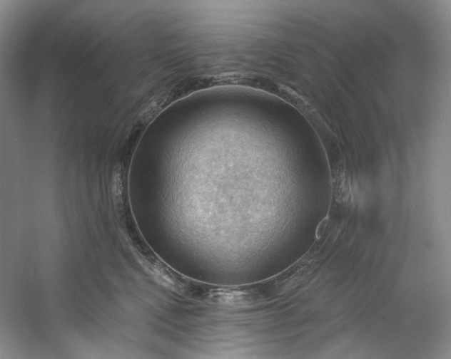 X0000053080472200507251530