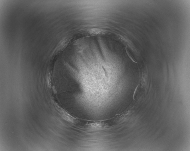 X0000053080473200507251530