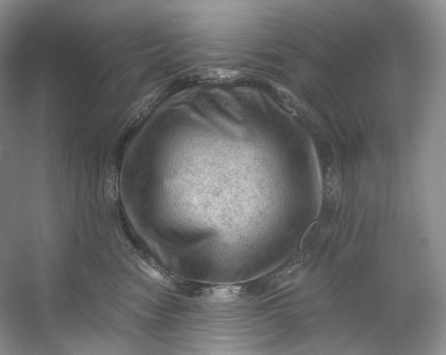 X0000053080474200507251530
