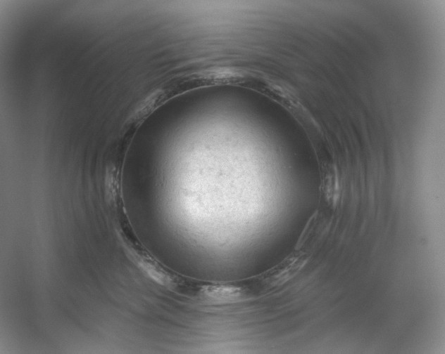X0000053080476200507251530