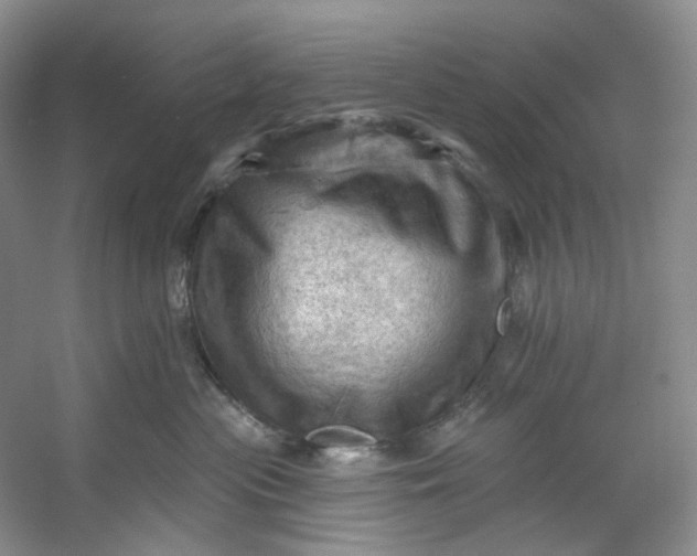 X0000053080477200507251530