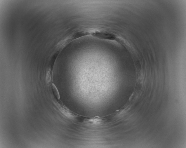 X0000053080478200507251530