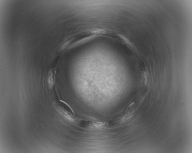 X0000053080479200507251531