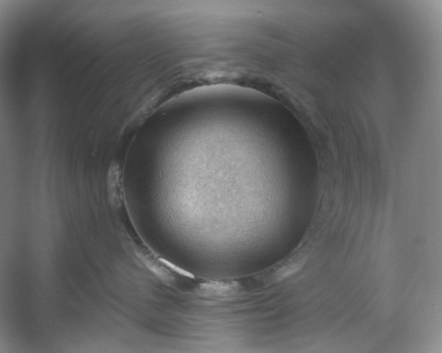X0000053080480200507251531