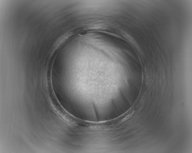 X0000053080482200507251530