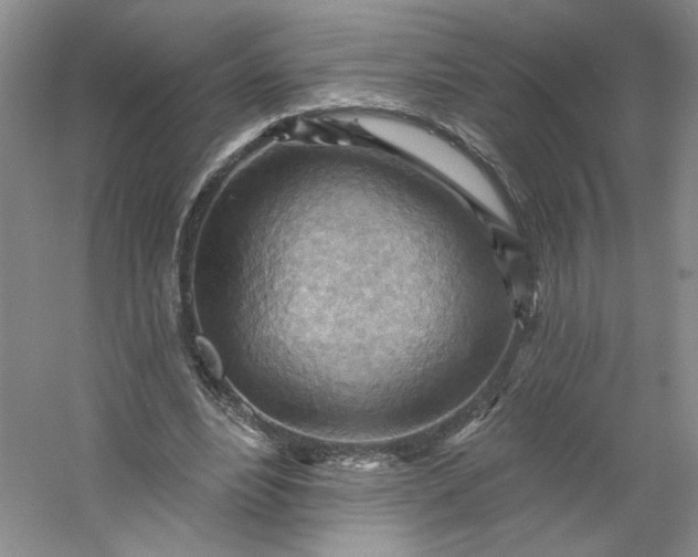 X0000053080488200507251530