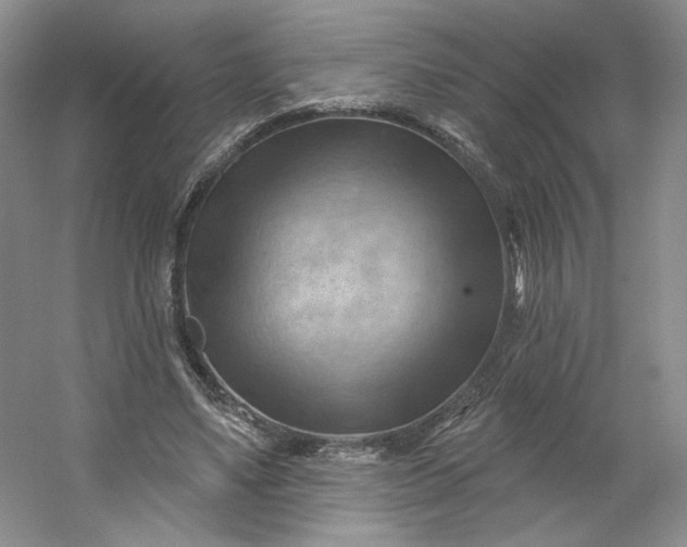 X0000053080491200507251530
