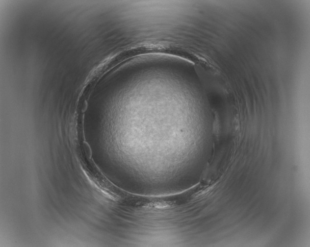 X0000053080492200507251530