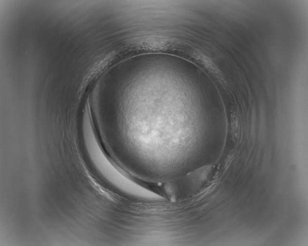 X0000053080493200507251529