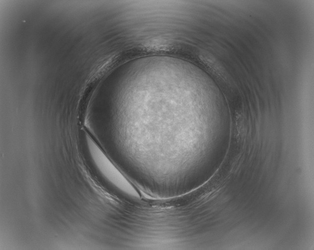 X0000053080494200507251529