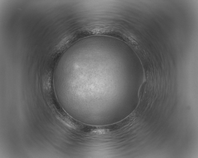 X0000053080499200507251529