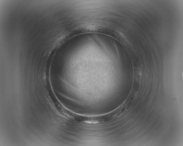 X0000053080500200507251529