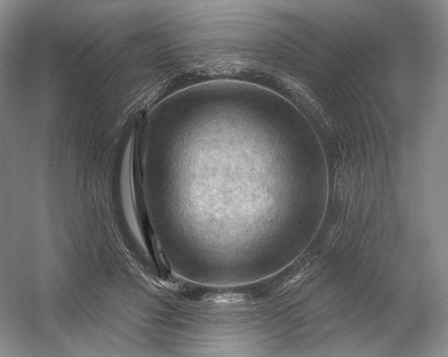 X0000053080501200507251529