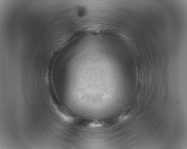X0000053080504200507251529