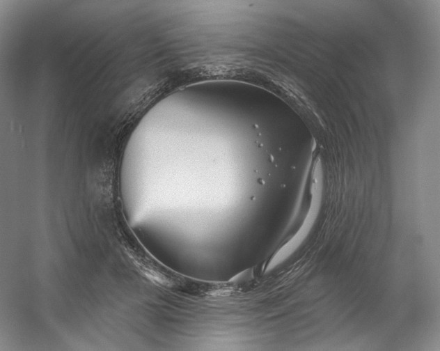 X0000053080505200507251529