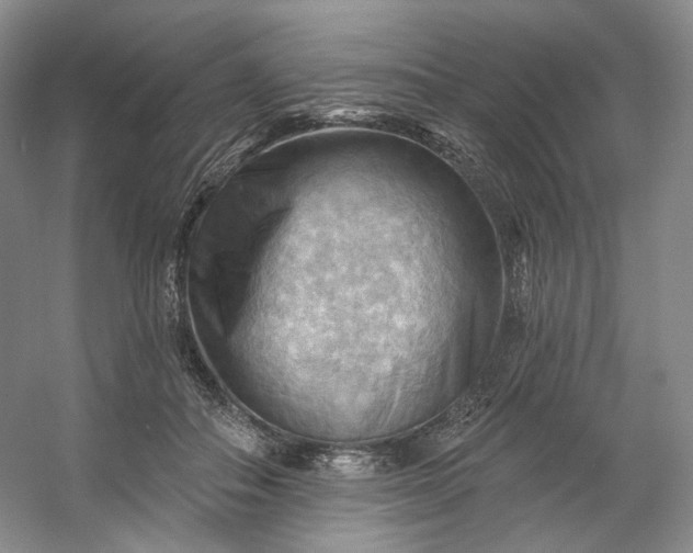 X0000053080506200507251529