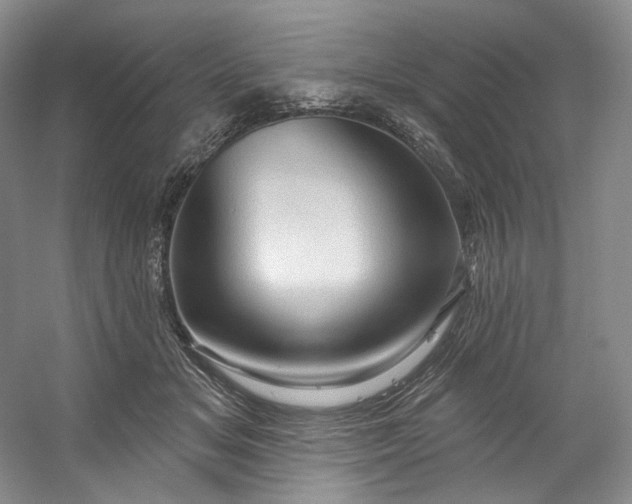X0000053080509200507251529