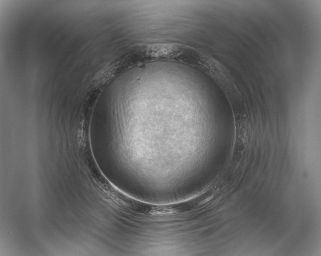 X0000053080510200507251529