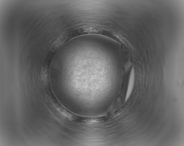 X0000053080513200507251529