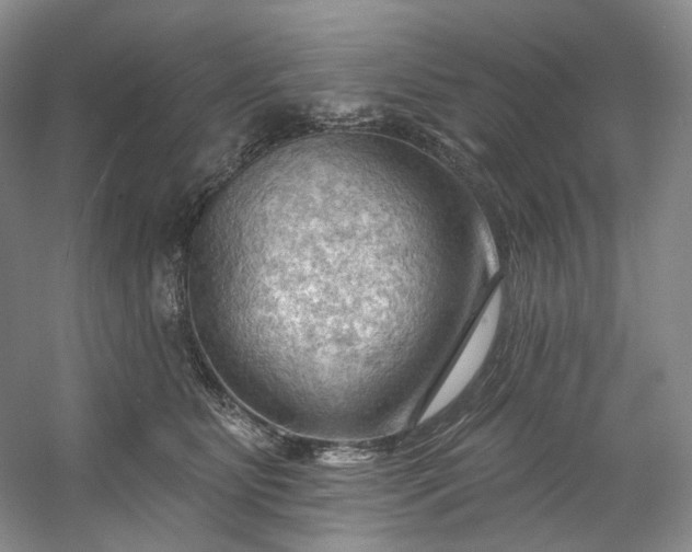 X0000053080515200507251529