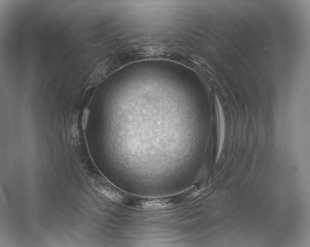 X0000053080516200507251529