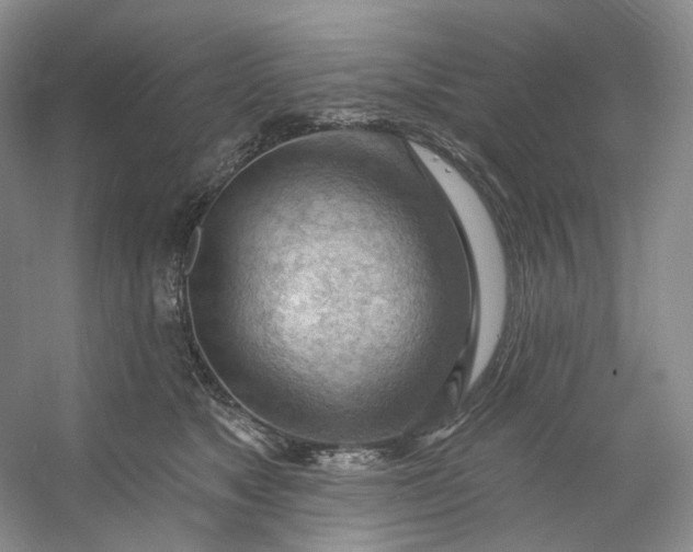 X0000053080517200507251529