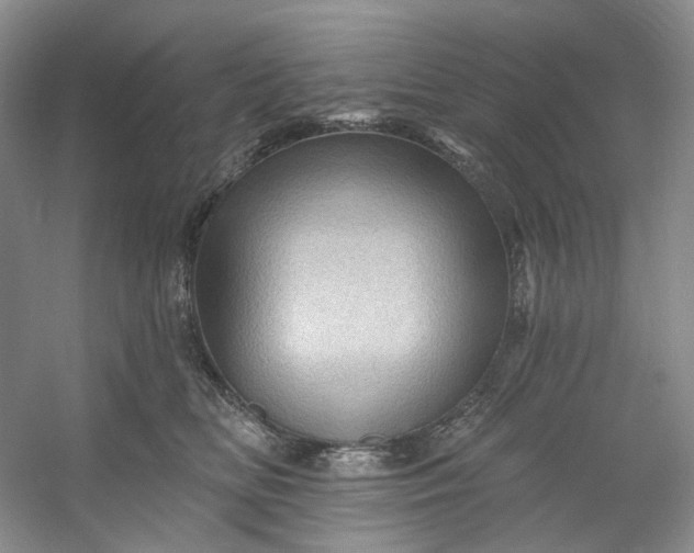 X0000053080518200507251529