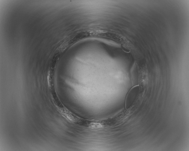 X0000053080519200507251529