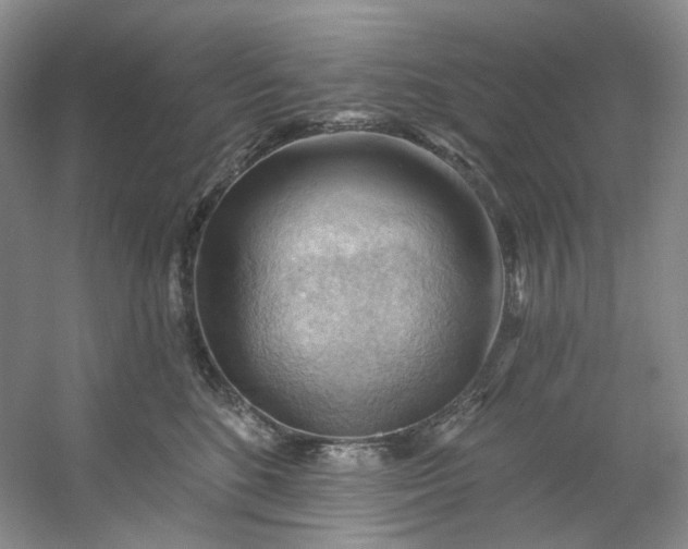 X0000053080520200507251529
