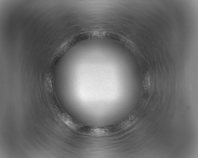 X0000053080522200507251529