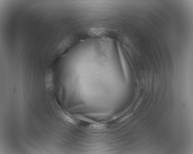 X0000053080526200507251529