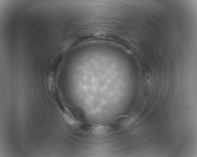 X0000053080527200507251529