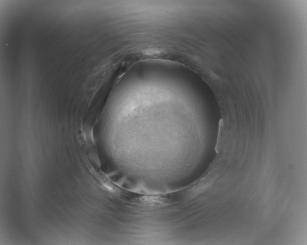 X0000053080528200507251529