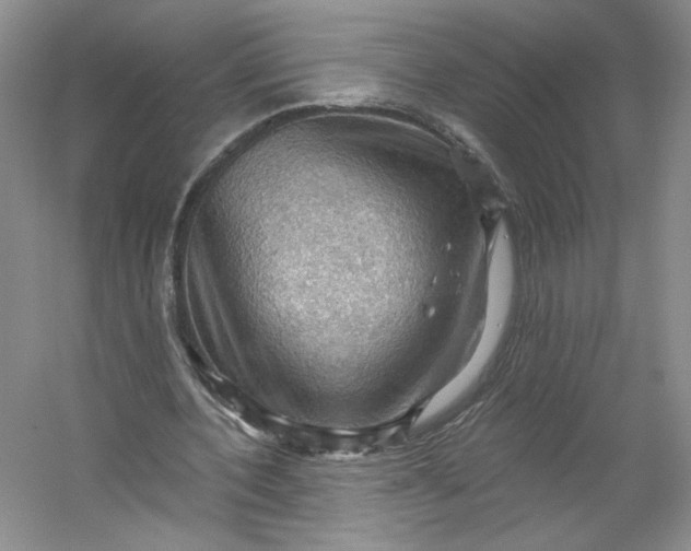 X0000053080532200507251528